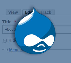 How to Make Optionally Hidden Node Titles in Drupal (Using CCK)