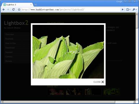 lightbox效果图