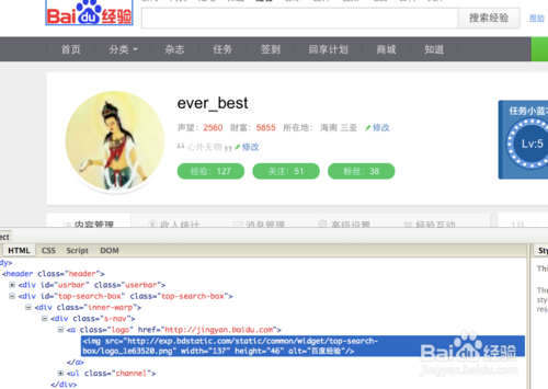 Safari插件：Firebug