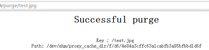 nginx