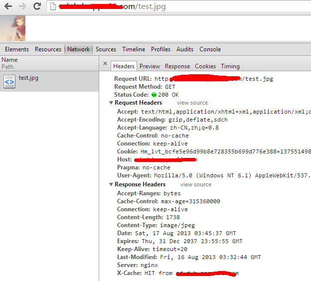 nginx