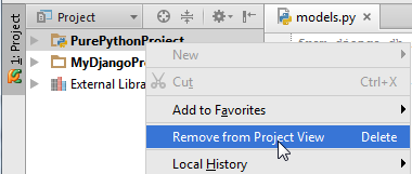 py_remove_from_project
