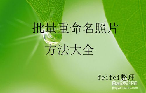 如何批量重命名照片？——史上最全最实用的办法