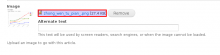 Drupal 7 Transliteration