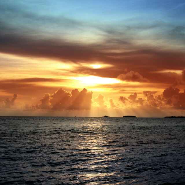 观海听涛