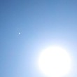 青萍sunny