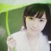 林龙博客