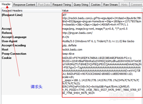 Http Analyzer StdV7 抓包工具数据查看