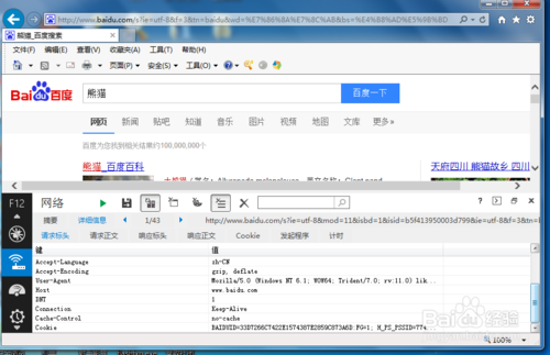 几种主流浏览器内置http抓包工具软件使用方法