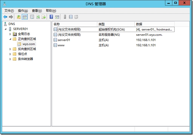 DNS委派_DNS_17