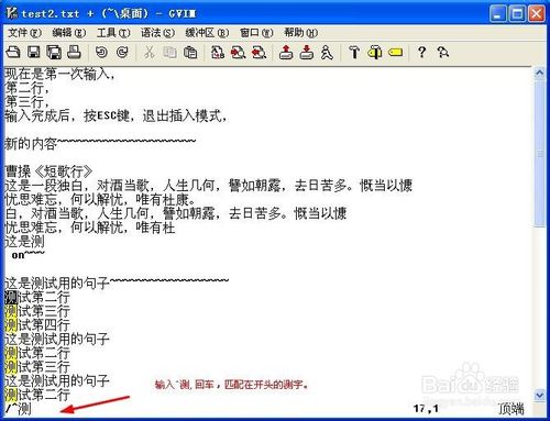 Vim高效使用攻略：[10]高级查找匹配