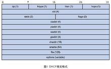 DHCP报文格式