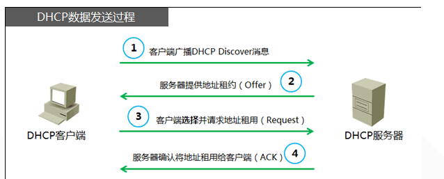 dhcp 工作原理