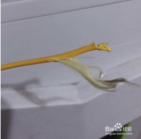 光猫亮红灯的原因以及处理方法