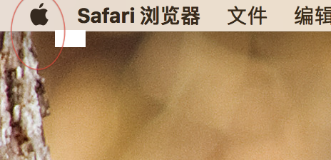 苹果电脑怎么查看管理查看内存