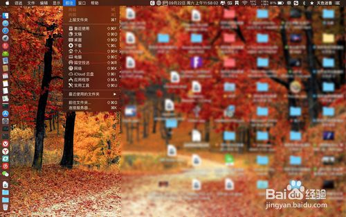 怎么查看mac所有的文件夹和文件