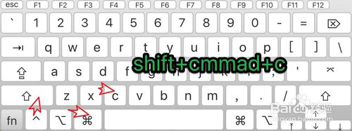 怎么查看mac所有的文件夹和文件