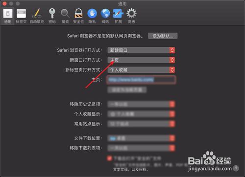 如何让Safari浏览器不自动打开网页