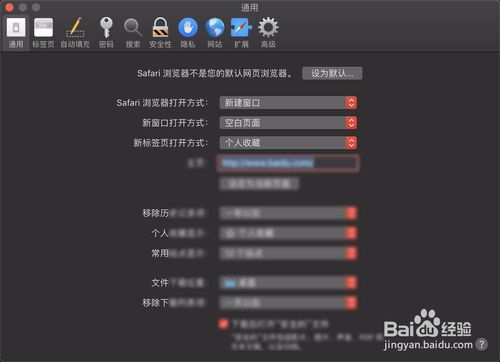 如何让Safari浏览器不自动打开网页