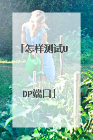 怎样测试UDP端口
