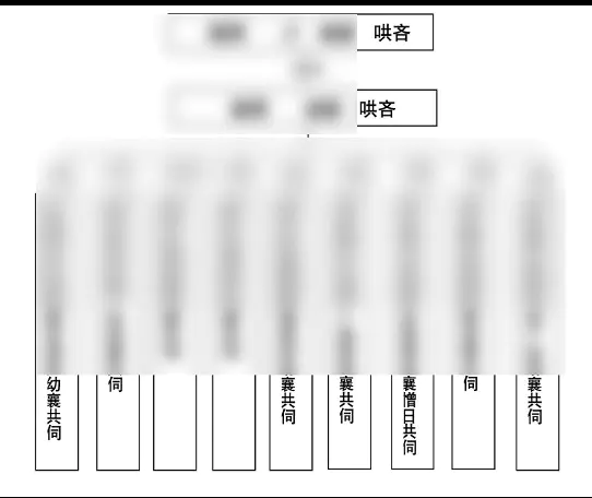 1718345131805188.png image.png